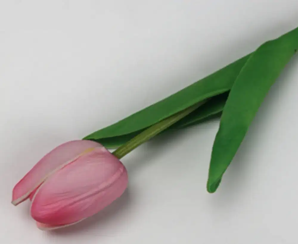 Dibuka lowongan Florist/Packing/Live streamer