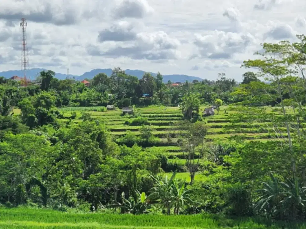 TANAH VIEW SAWAH & GUNUNG DEKAT PANTAI TULIKUP GIANYAR, BALI