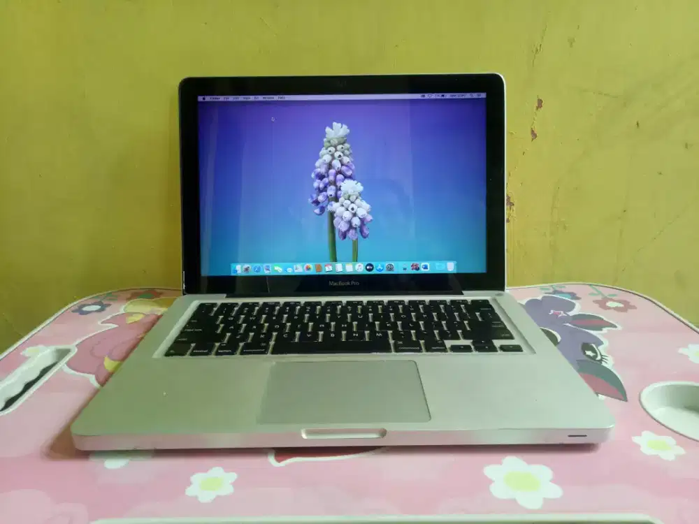 MacBook Pro 2012 13 inch md101