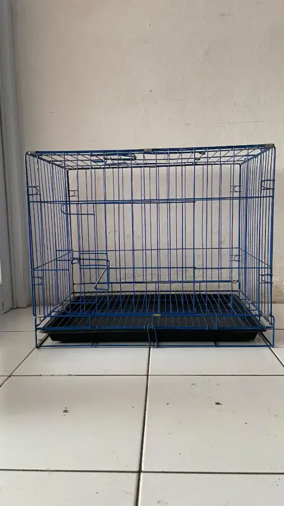 Kandang kucing warna biru besi kuat