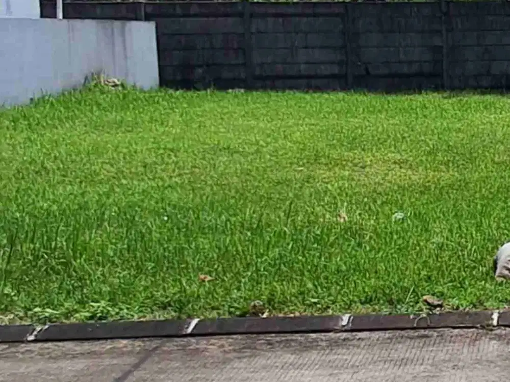 tanah murah banget di villagio citra raya Cikupa Tangerang
