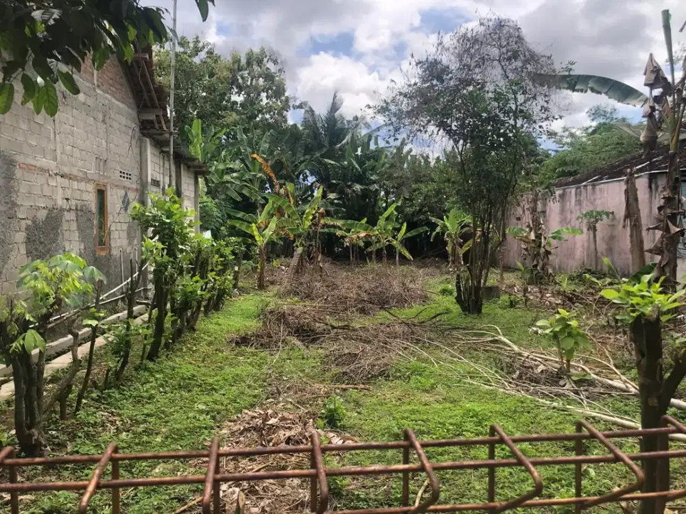 Tanah Pekarangan Murah di Pengasih Dekat Kampus UNY Wates
