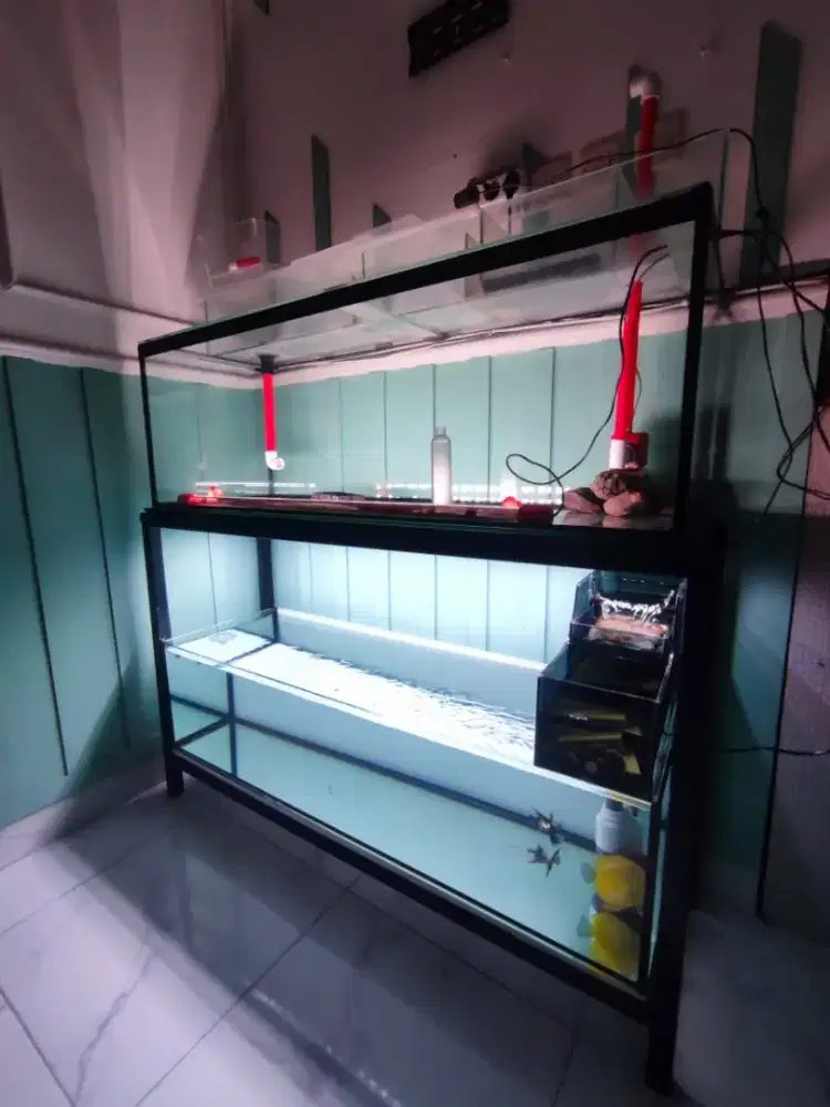 Pensiun Jual Aquarium /Akuarium 120x40 +  Bonus, include ikan