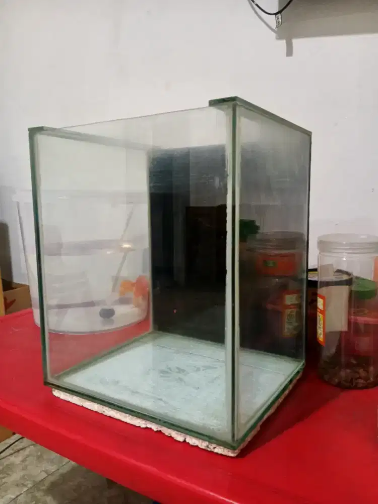 Aquarium kaca kotak