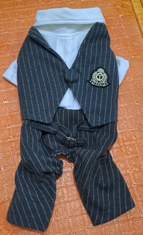 Setelan jas/pakaian/baju celana kucing