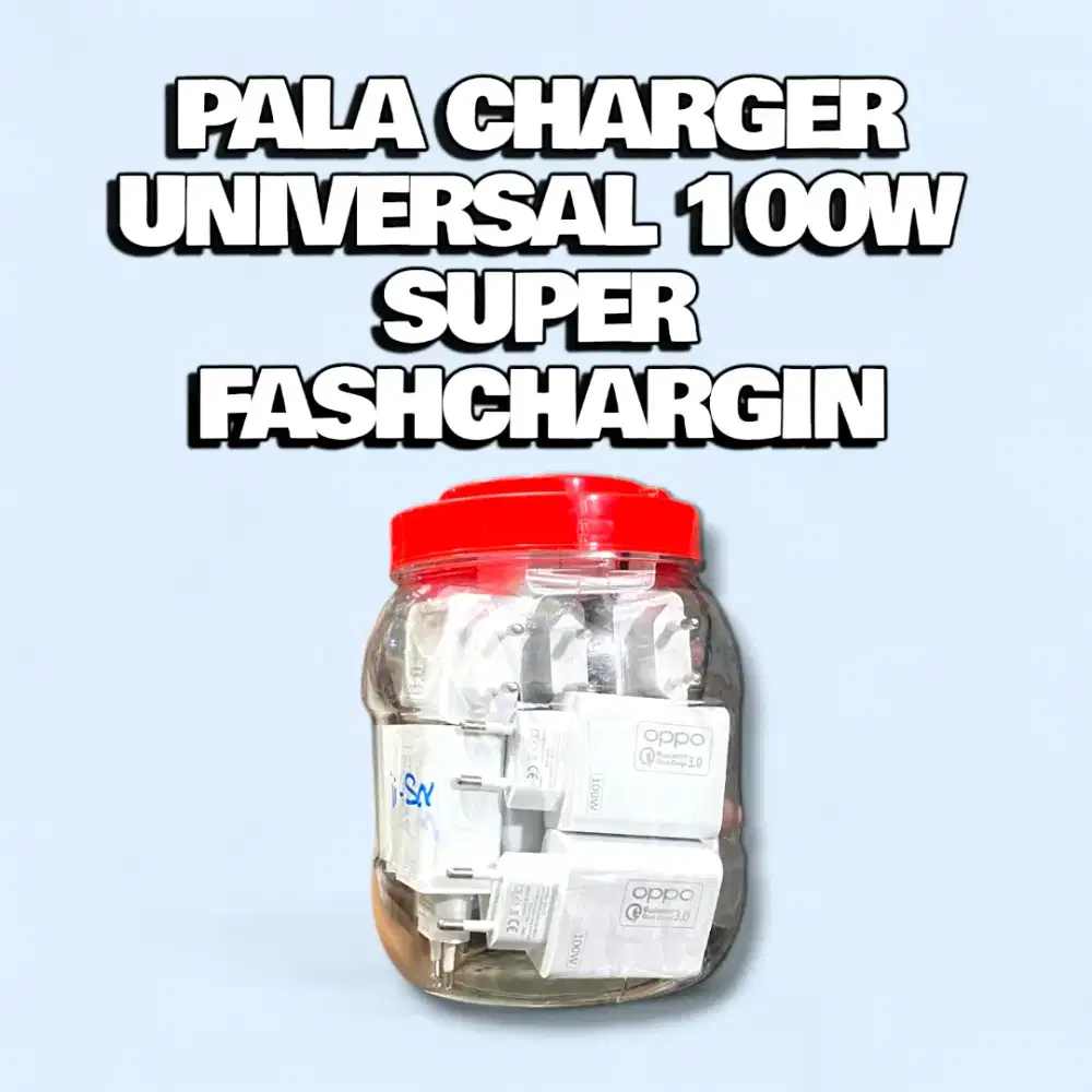 Pala charger universal fash charging 100w