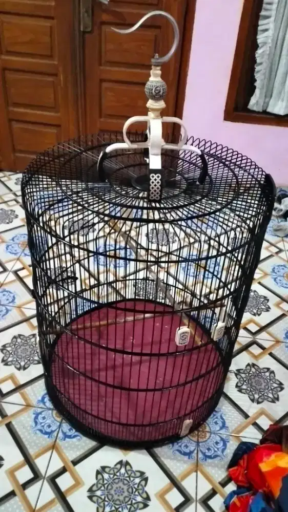Sangkar murai ebot no 1