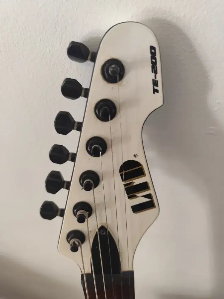 Esp LTD TE-200 Tahun 2017