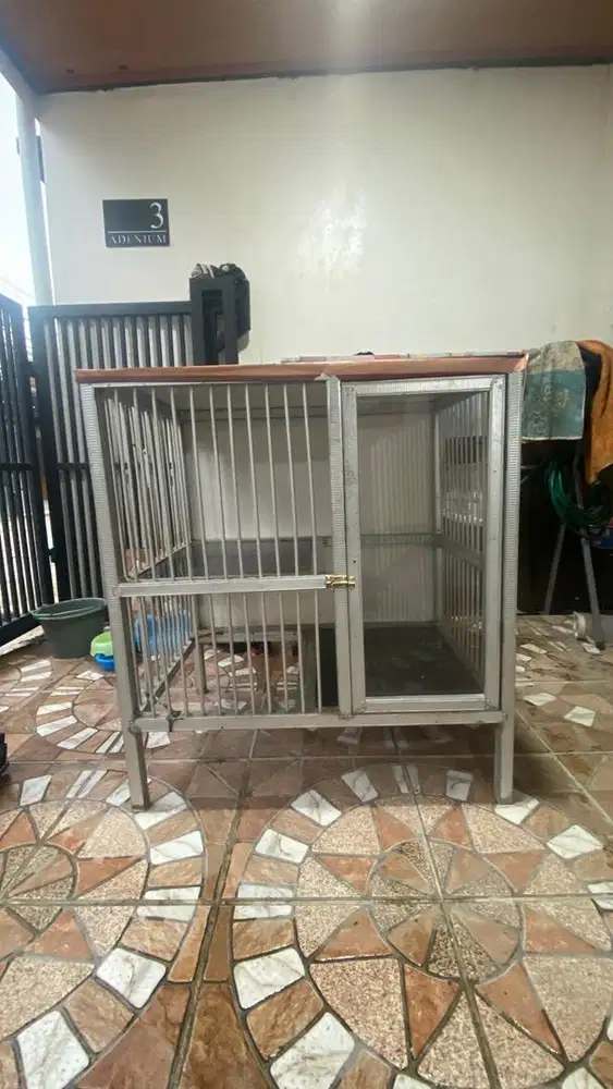 Kandang kucing tingkat