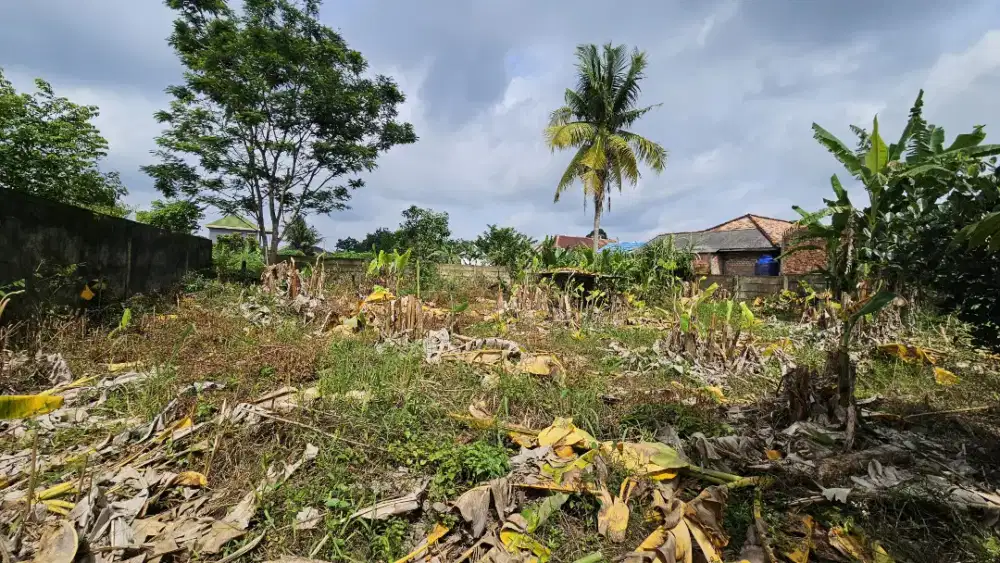 Jual Tanah luas Banyuasin Talang Keramat