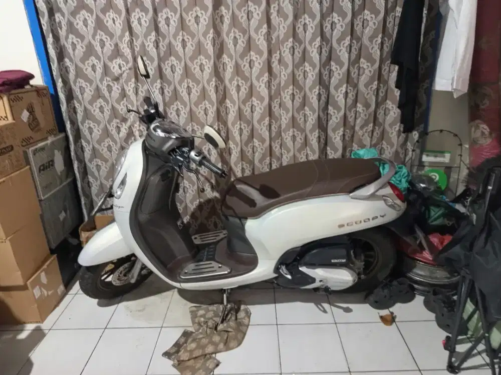 Scoppy prestige 2024