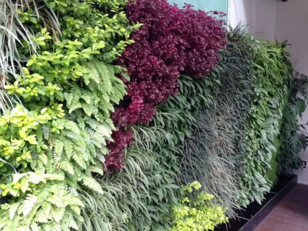 Vertical garden surabaya