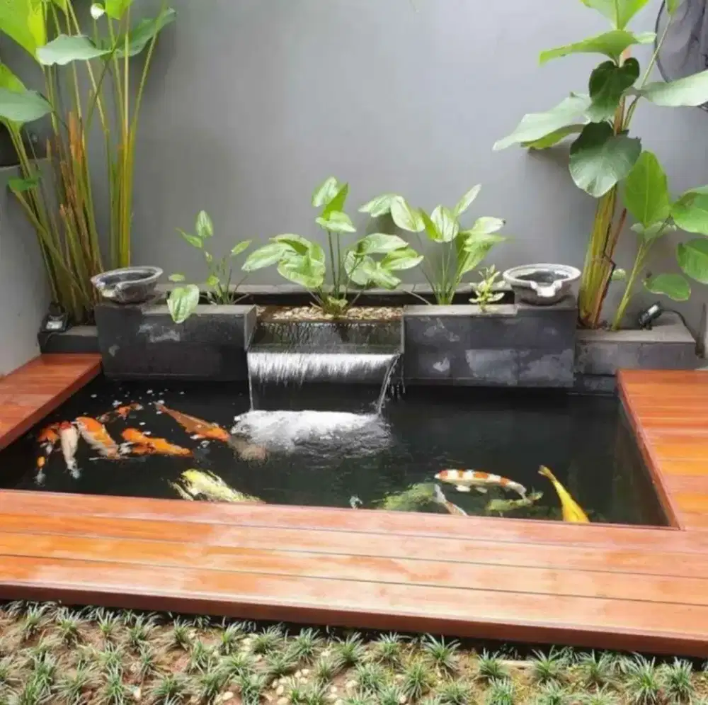 Tukang kolam yang kan koi