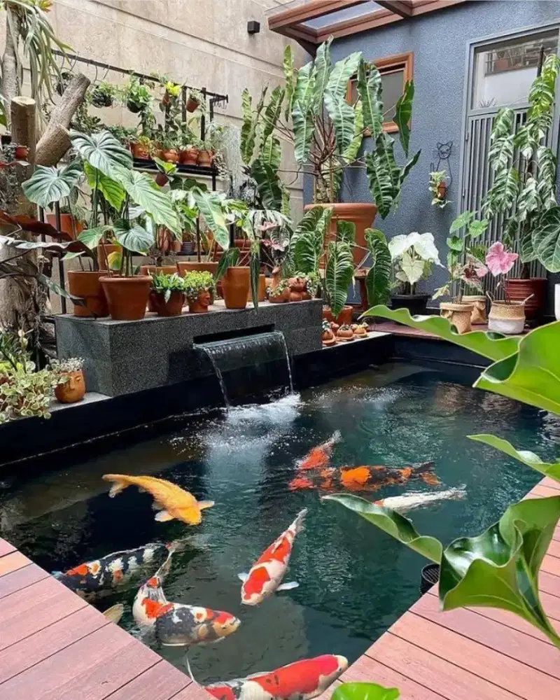 Tukang kolam ikan koi graha