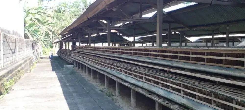 Dijual/Disewakan Rumah+Gudang Gianyar Bali SHM 3050m²