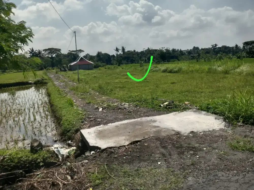 Dijual tanah SHM sawah murah hanya 1,5,/meter di jl palagan km 10