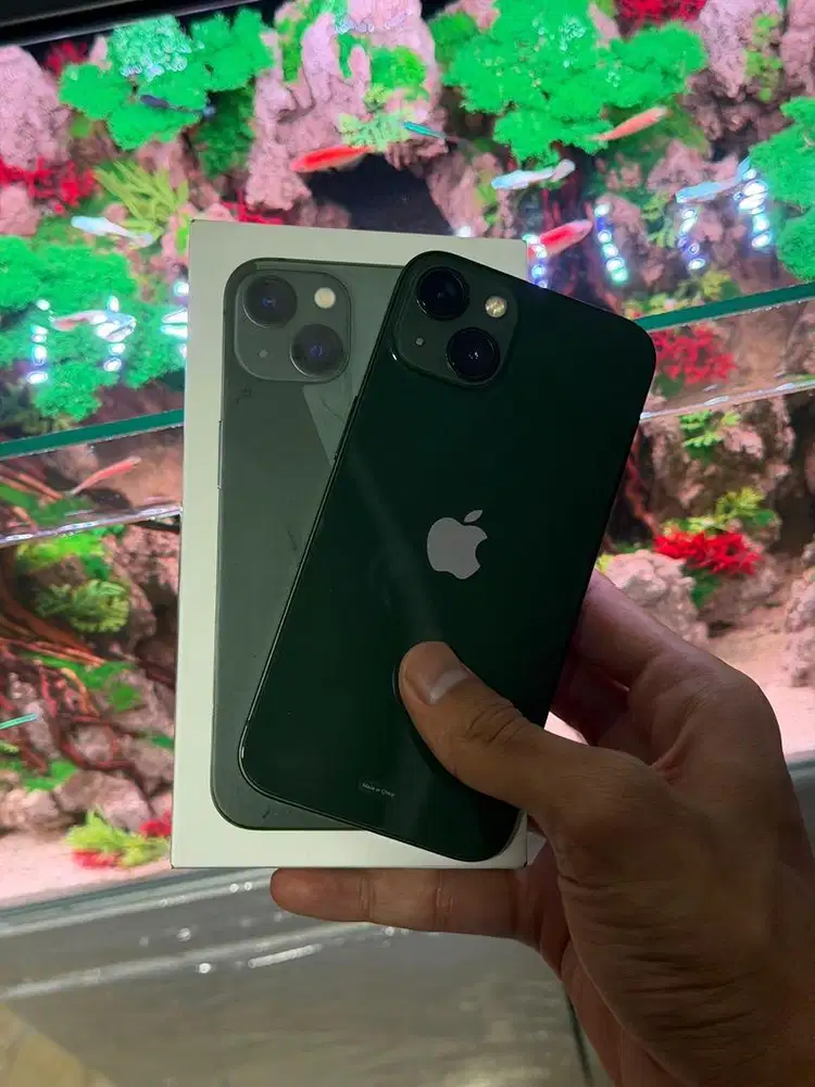 iPhone 13 Basic iBox