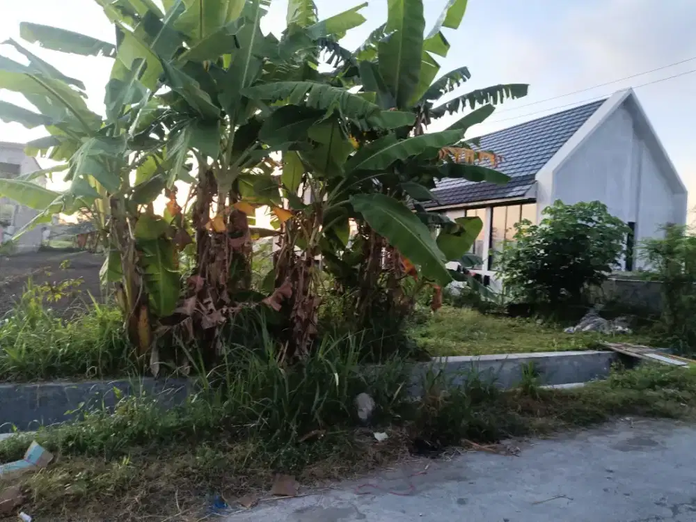 Disewakan tanah samping bebek rakyat Maguwoharjo cocok kost atau Cafe