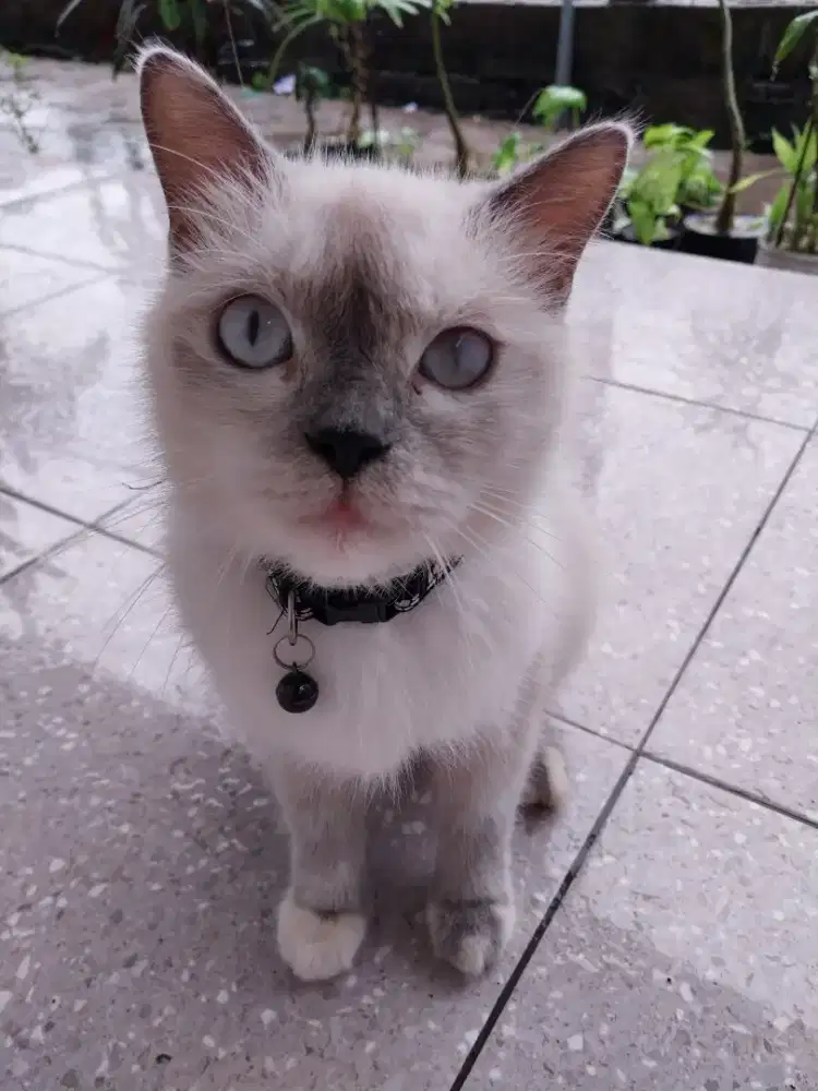 Wanita Mencari Pekerjaan