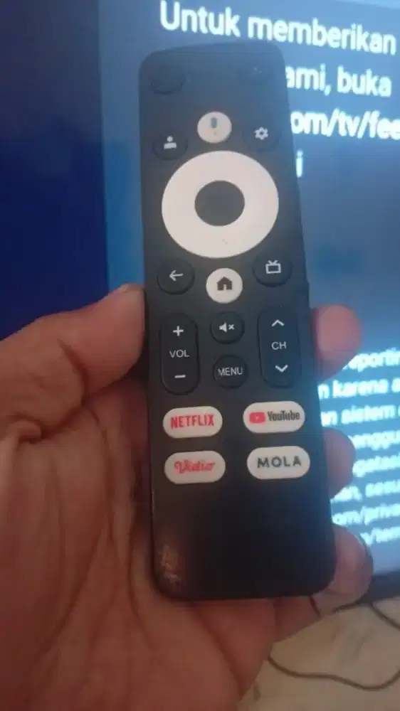 TV LED 43 inc Hey google