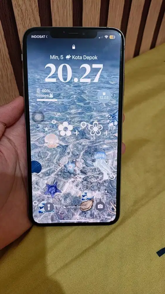 Iphone XS MAX 64GB EX INTER
