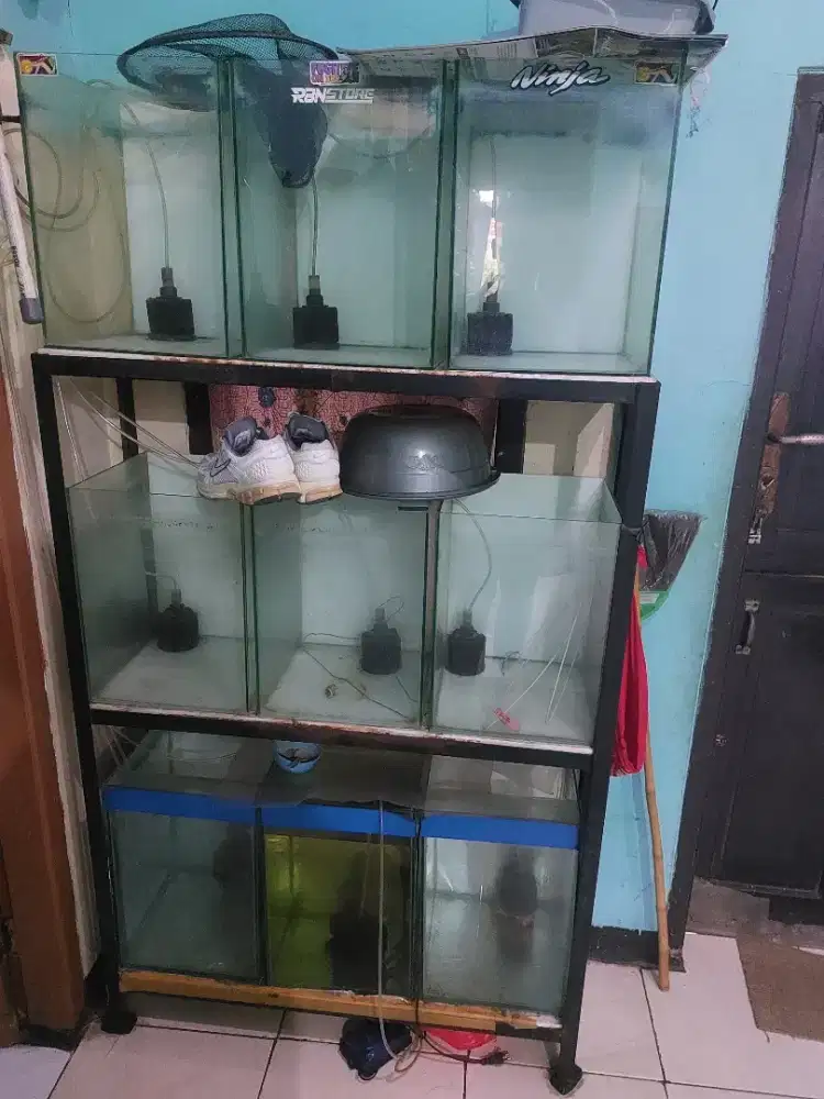 Aquarium akuarium 12 pcs sama rak nya