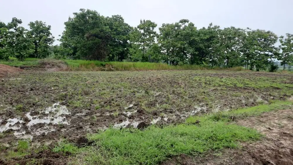 Jual tanah milik pribadi