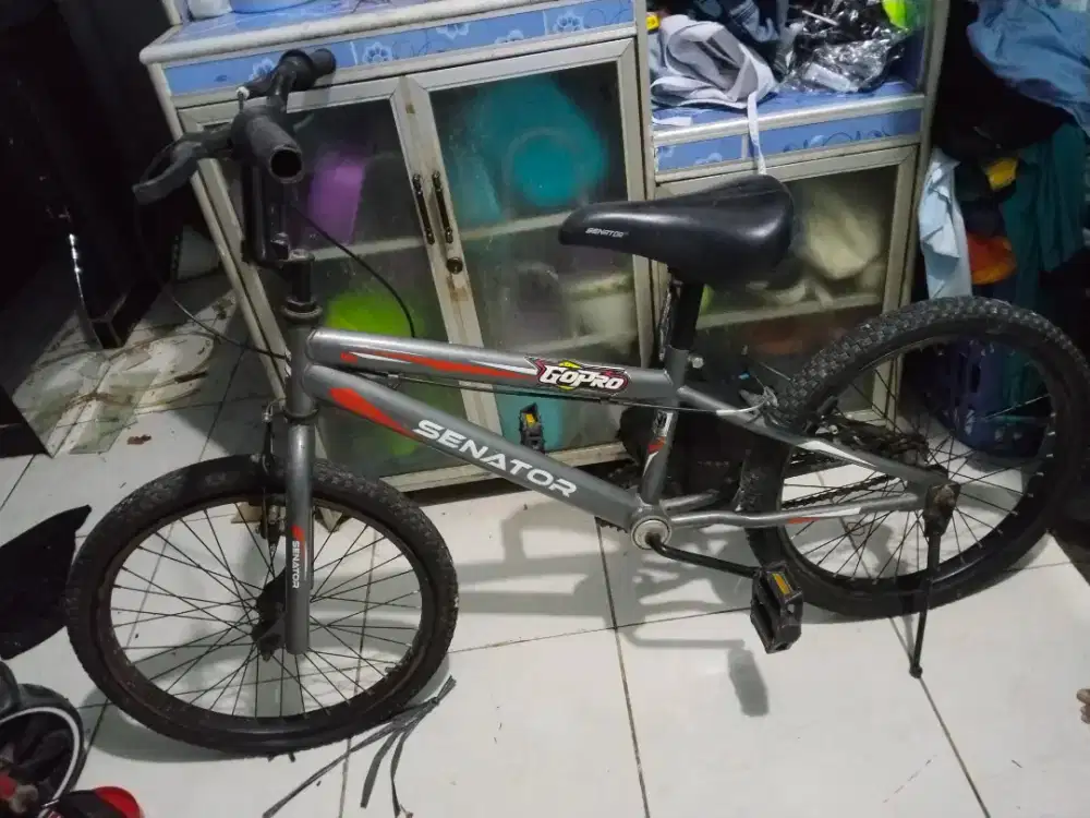 Sepeda ukuran 24