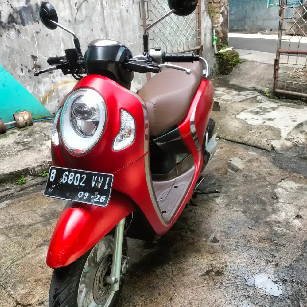 Scoopy keyles th 21 pjk idup