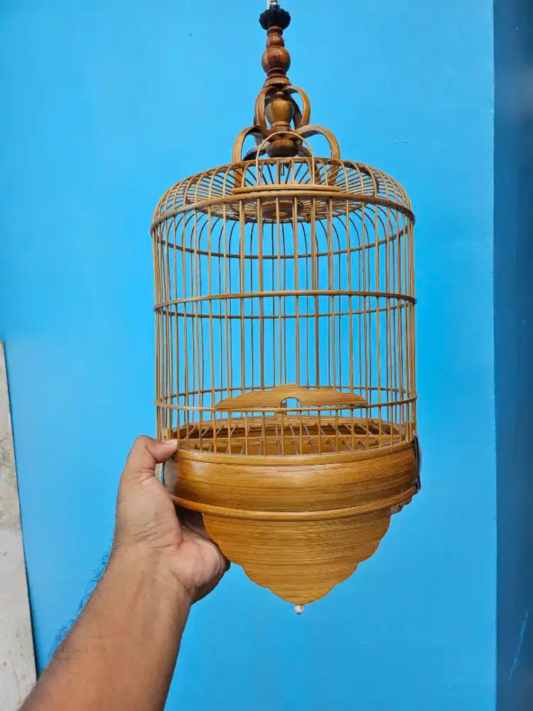 Kandang soloan model cungkok