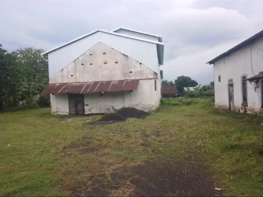 Dijual gudang pinggir jalan ajung mangli jember