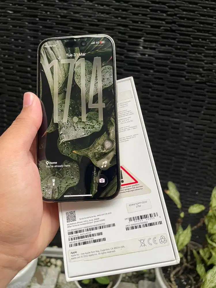 Iphone 14 Pro 256Gb Resmi Ibox