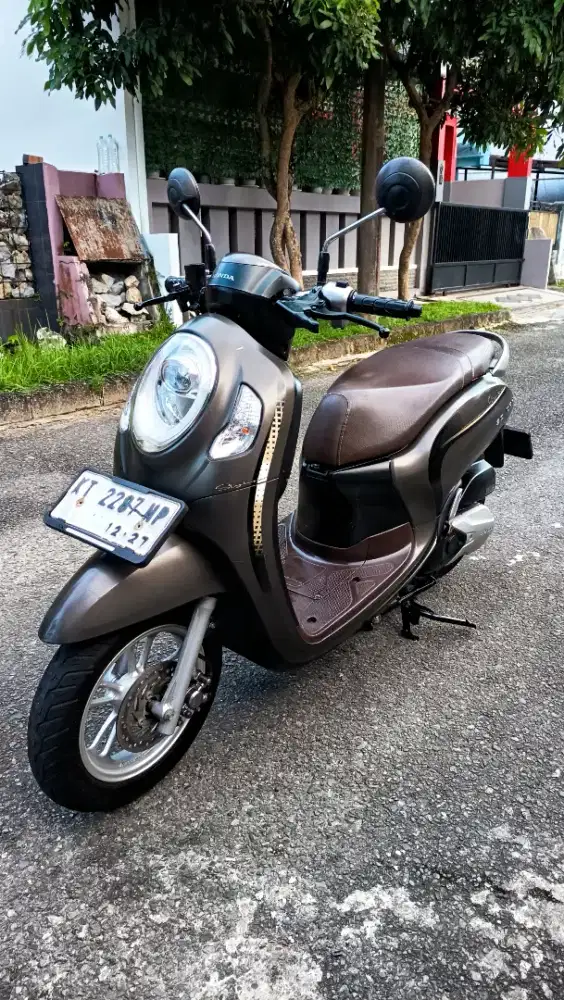 Scoopy stylish 2022