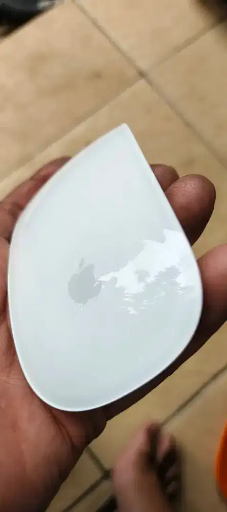 Magic mouse lightning