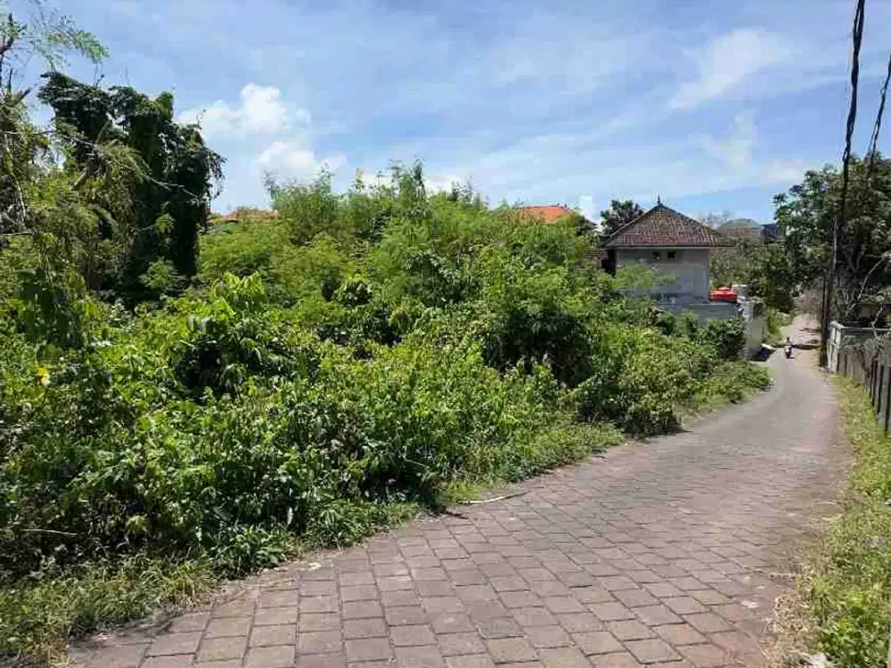 Dijual Tanah Langka Plot Kecil 150m2 Ungasan Bali