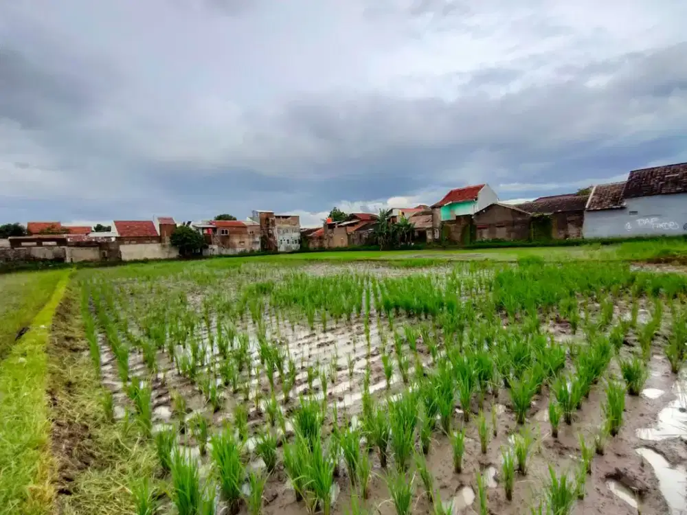 Lahan Strategis 4.296m² di Riung Bandung – Harga di Bawah Pasar!