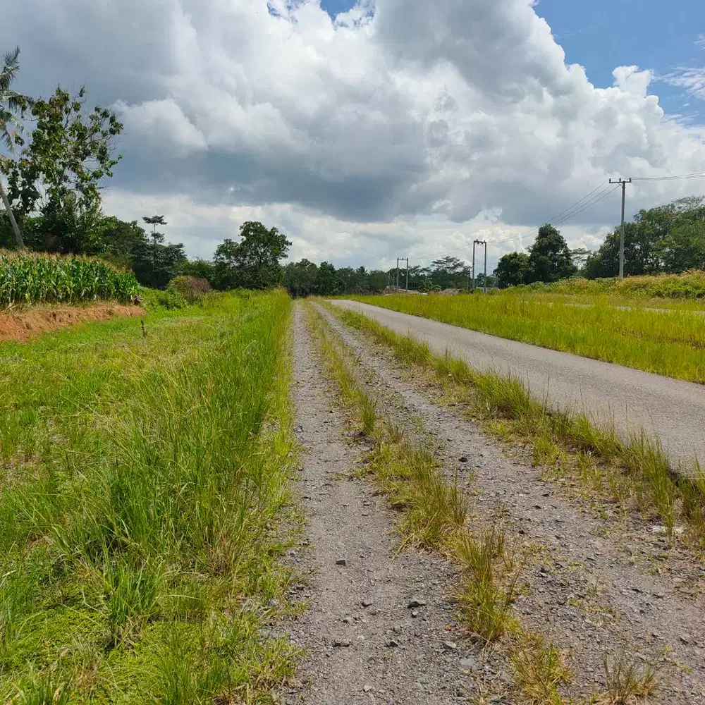 TANAH ITERA KORPRI DIPINGGIR JALAN COR JALUR DUA DIJUAL MURAH