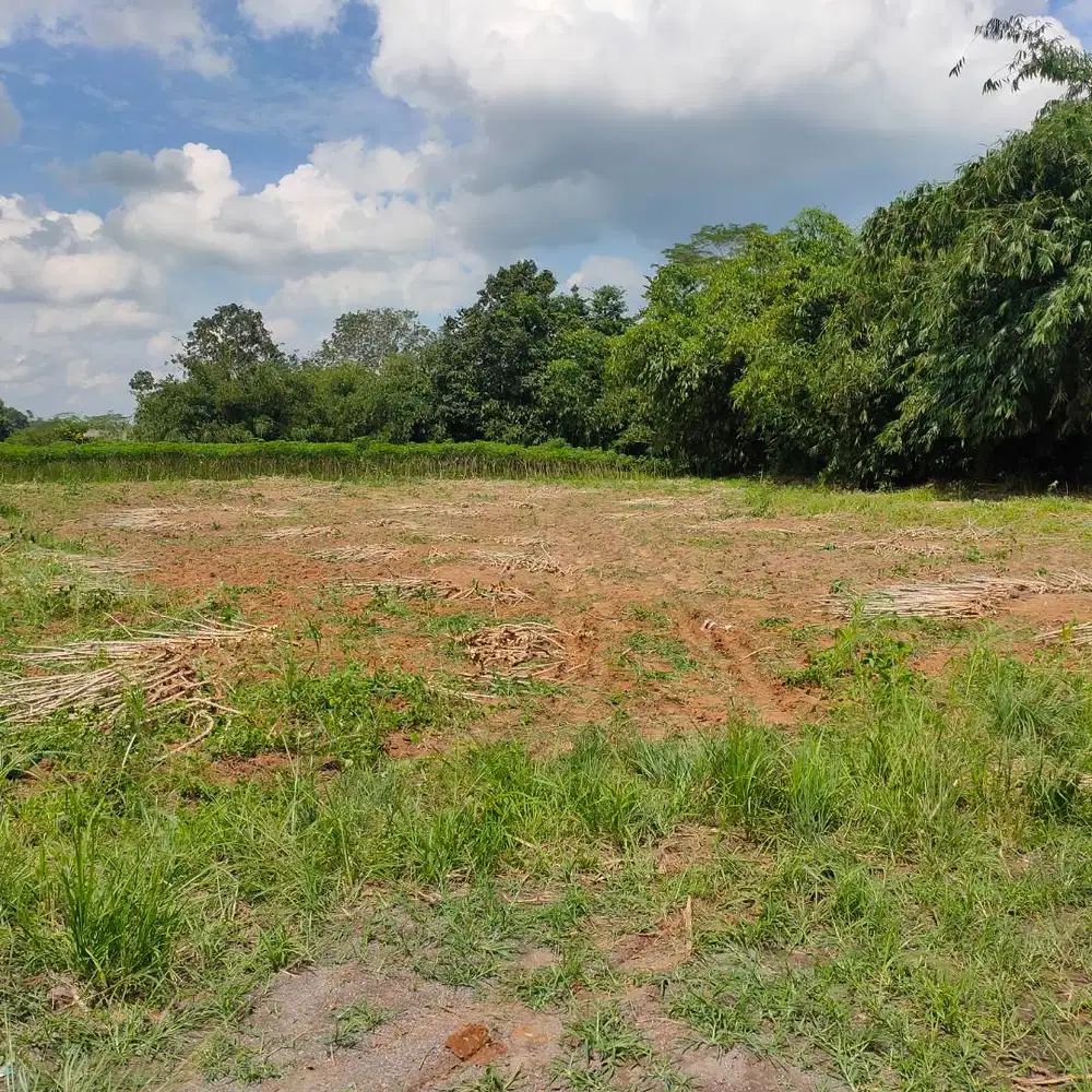 DIPINGGIR JALUR DUA KORPRI ITERA LAMPUNG! TANAH DIJUAL MURAH