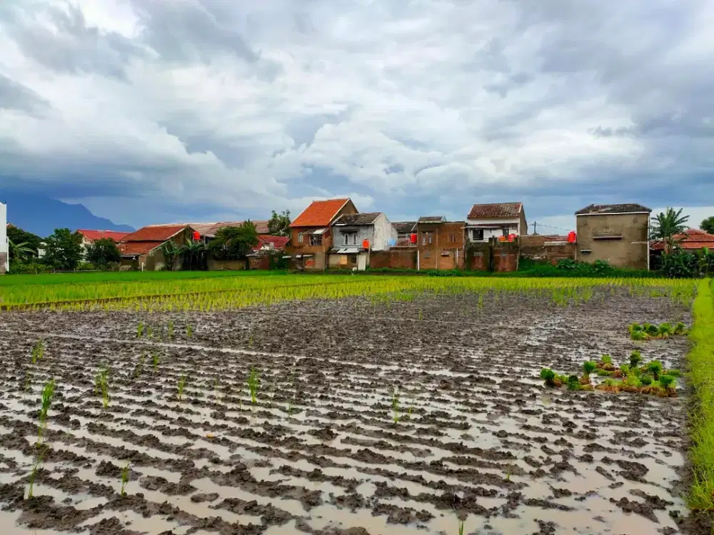 JUAL CEPAT! Tanah 3.943m² di Riung Bandung, Harga Hanya 2,5 Juta/m²