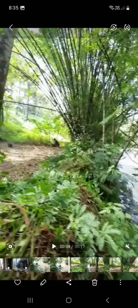 Tanah dijual. Available utk di sewa/kerjasama usaha