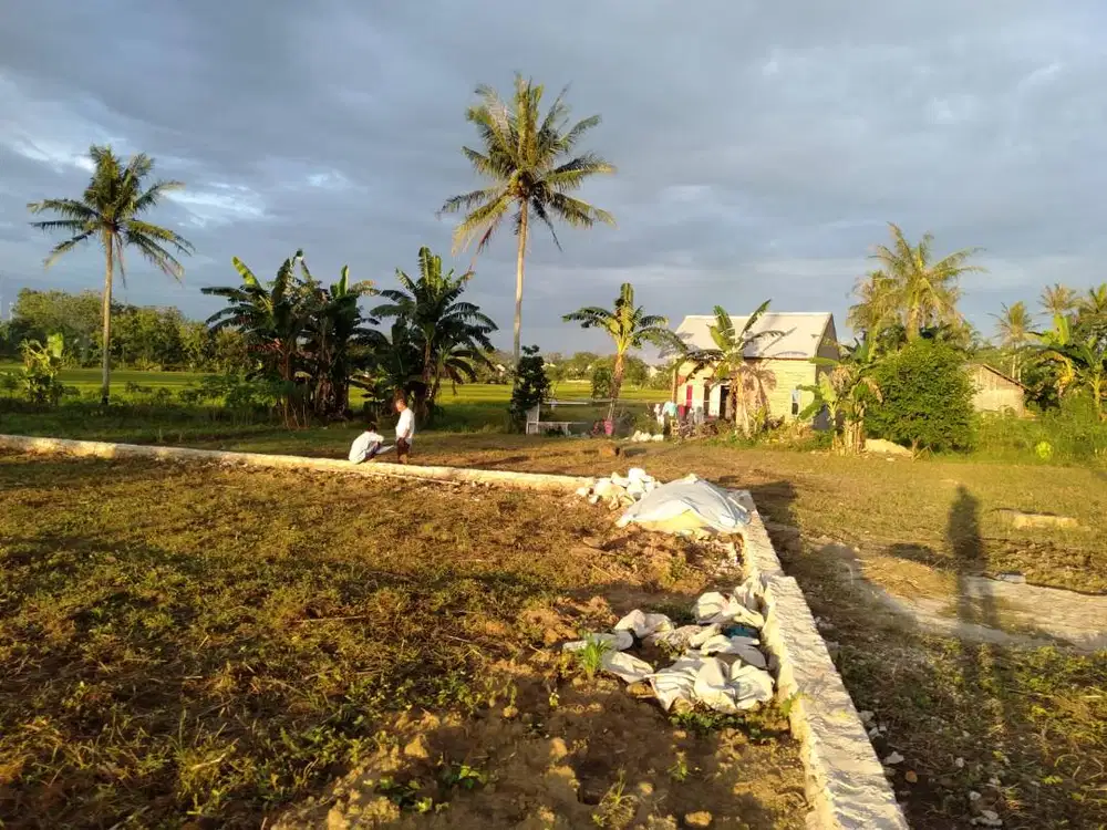 TANAH DEKAT KEDATON DI FAJAR BARU PASAR UNTUNG SUROPATI DIJUAL MURAH