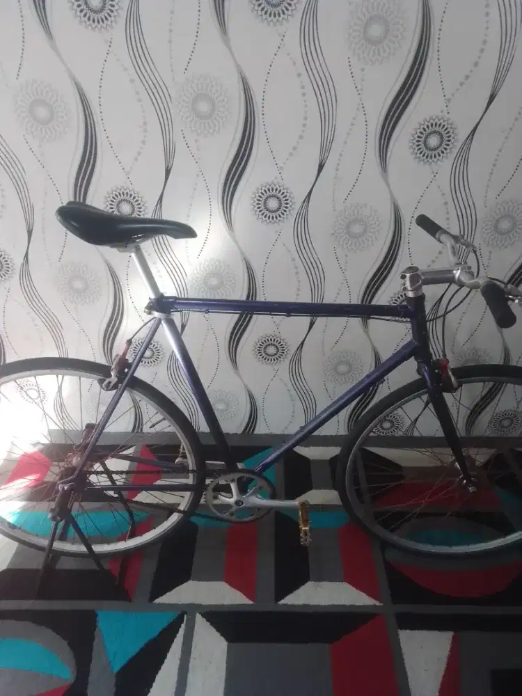 Sepeda fixie klasic