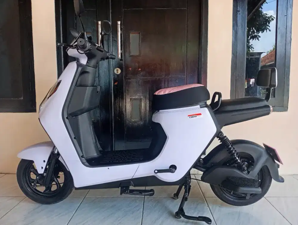 Sepeda Listrik WINFLY D65