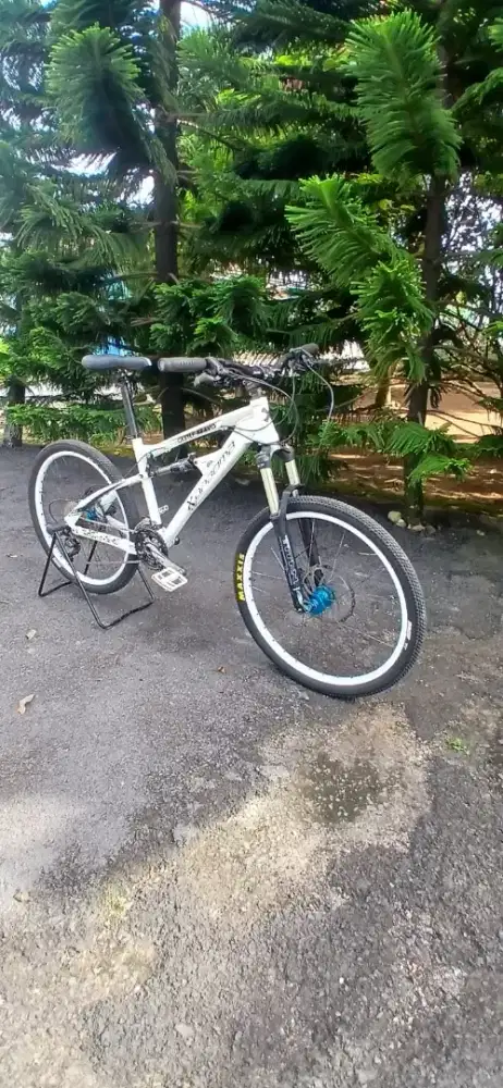MTB DABOMB castle bravo 26 inc