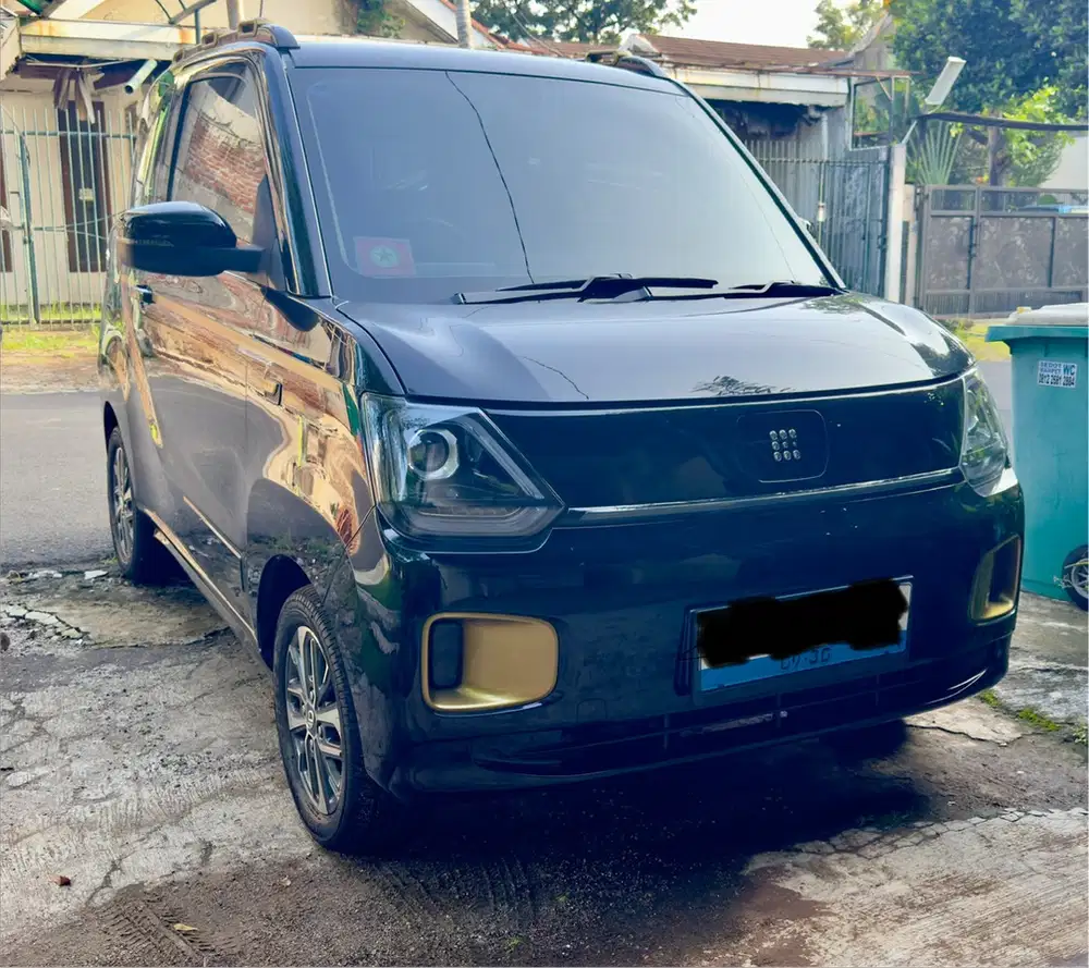 DFSK Seres E1 2024 L 220 KM Black Edition