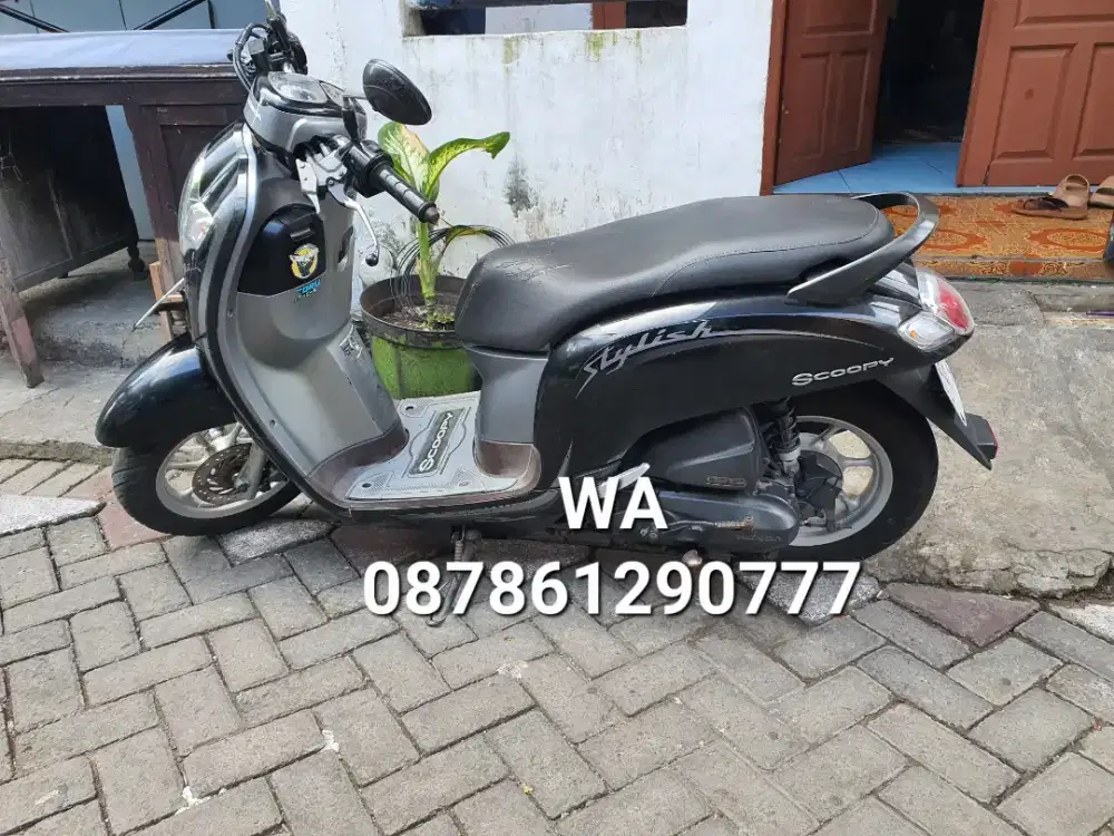 scoopy stylish 2019