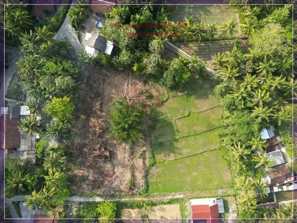 Tanah Murah di nanggulan dijual cepat, SHM P 900rb an