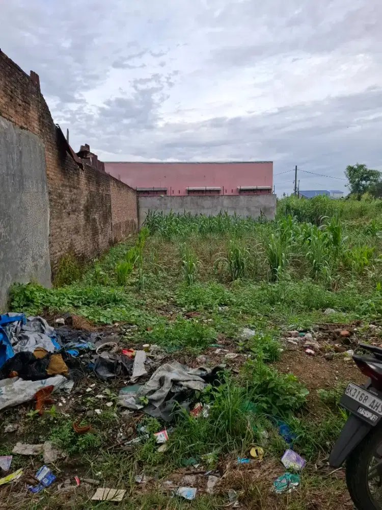 Di jual tanah tanpa perantara di simalingkar b gang anggrek