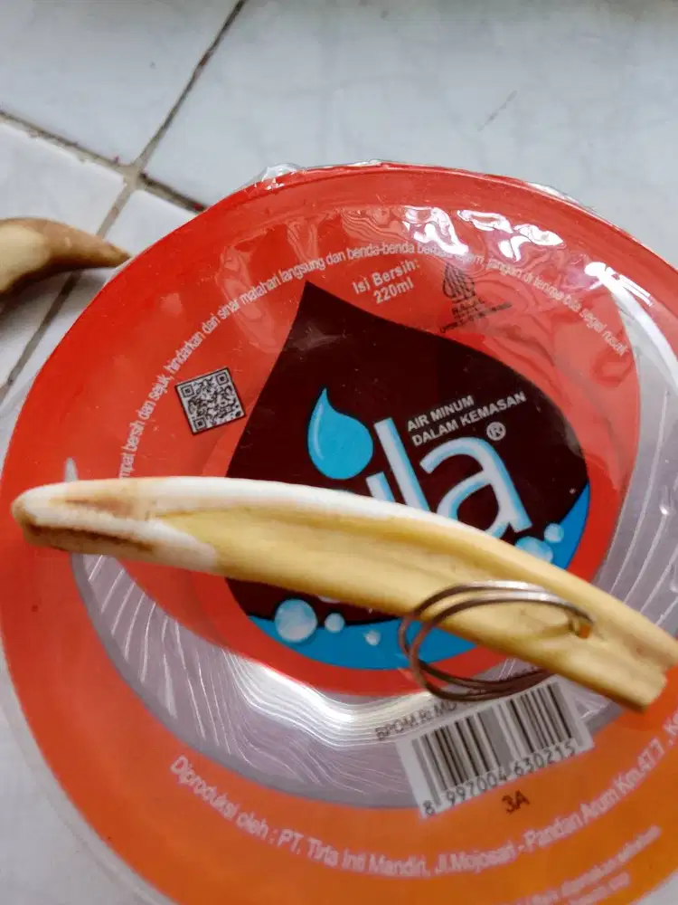 Koleksi Gantungan Kunci Antik