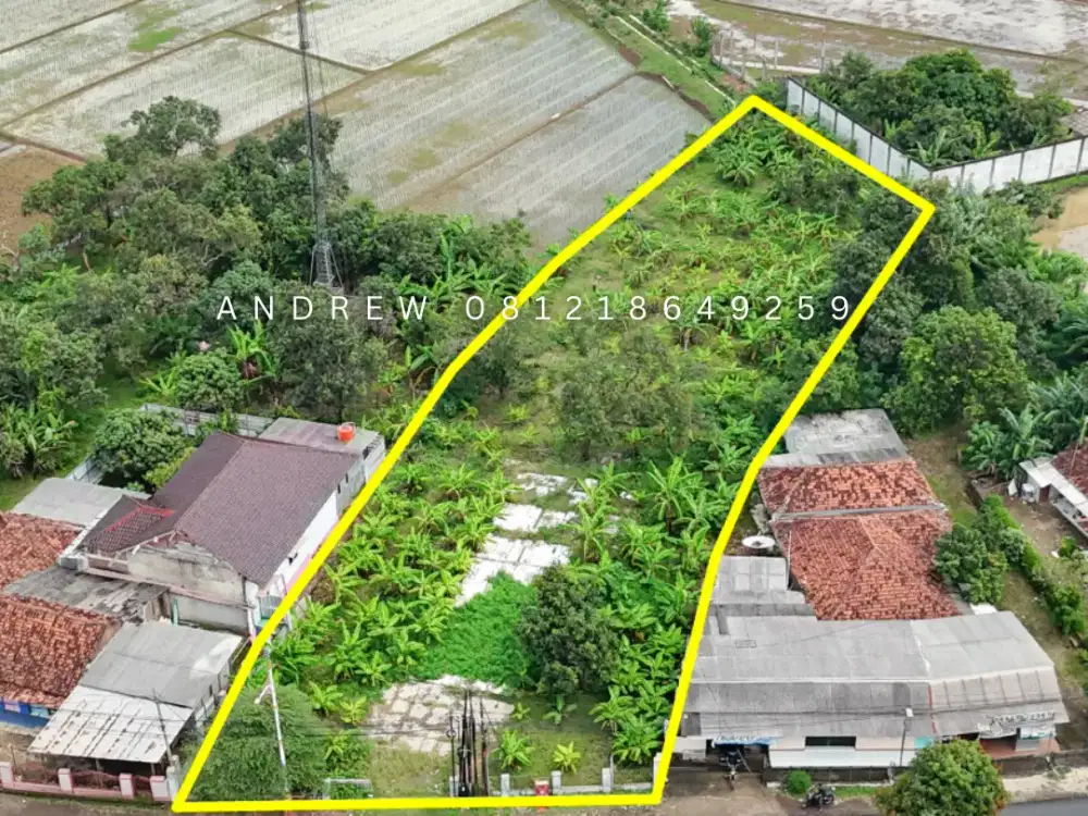 Jual Tanah Nego Sampai Deal Subang Pagaden Pinggir Jalan View Sawah SHM Pekarangan